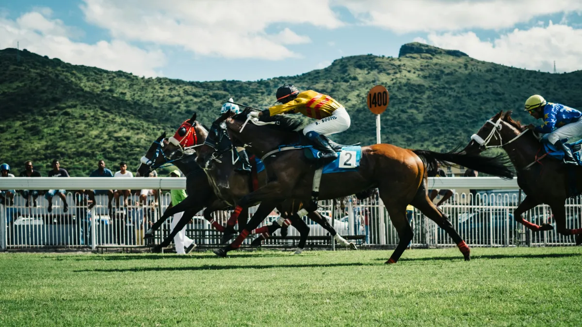 New Legislation Set to Secure the Future of New Zealand’s Racing Industry